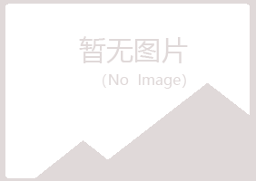 青岛紫山采矿有限公司